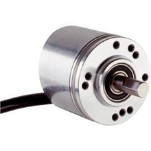 DBS36E-S8EJ00250 - 1098268