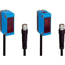 GSE6-P6212 - 1061848